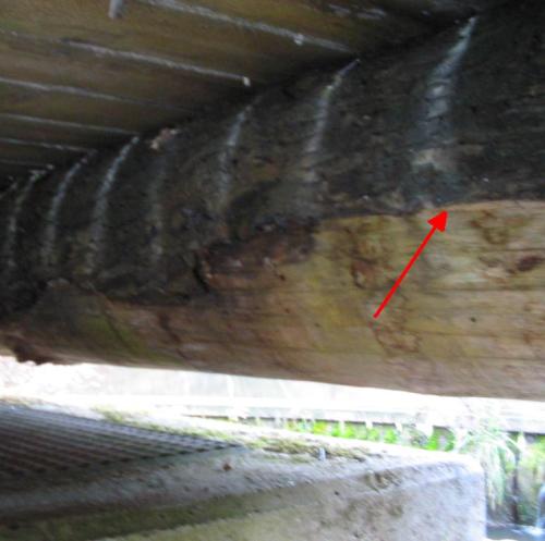 Da sit das erste R&auml;tsel versteckt.